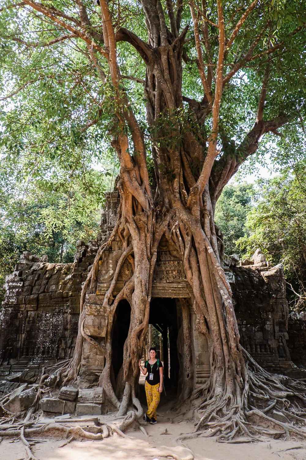 Alleine auf Weltreise in Kambodscha