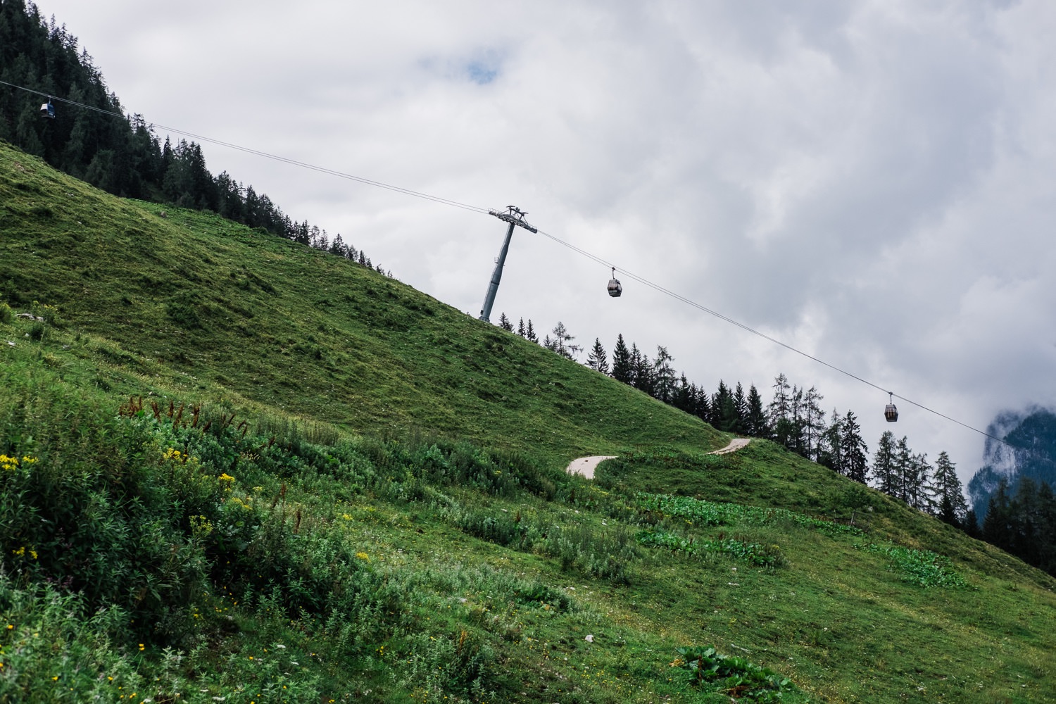 Wanderung auf den Jenner