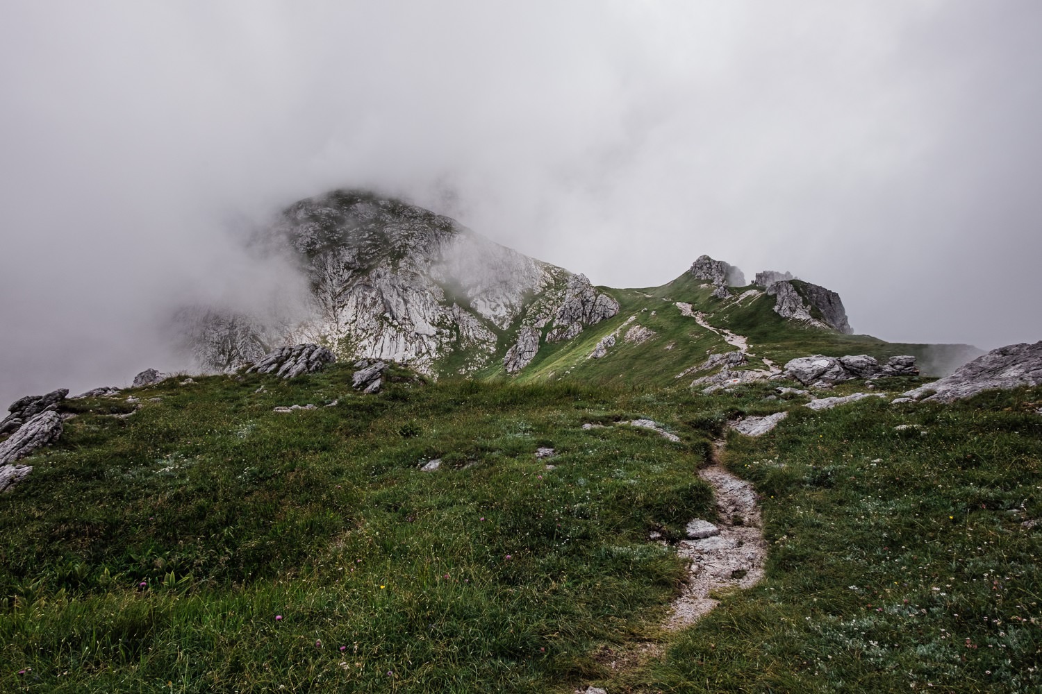 Wanderung Jenner Hohe brett