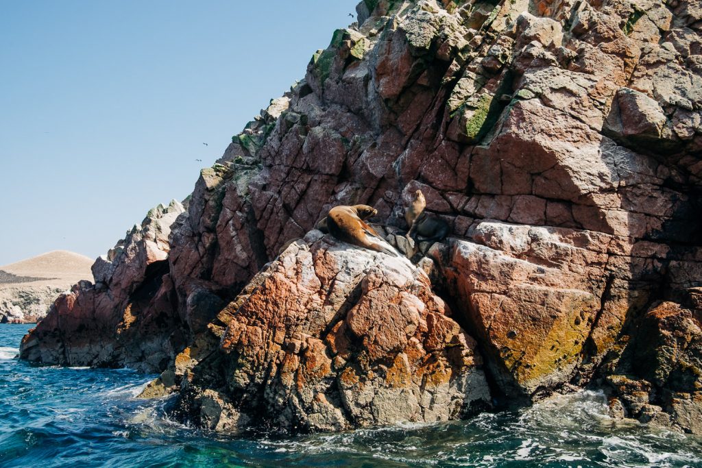 Paracas in Peru