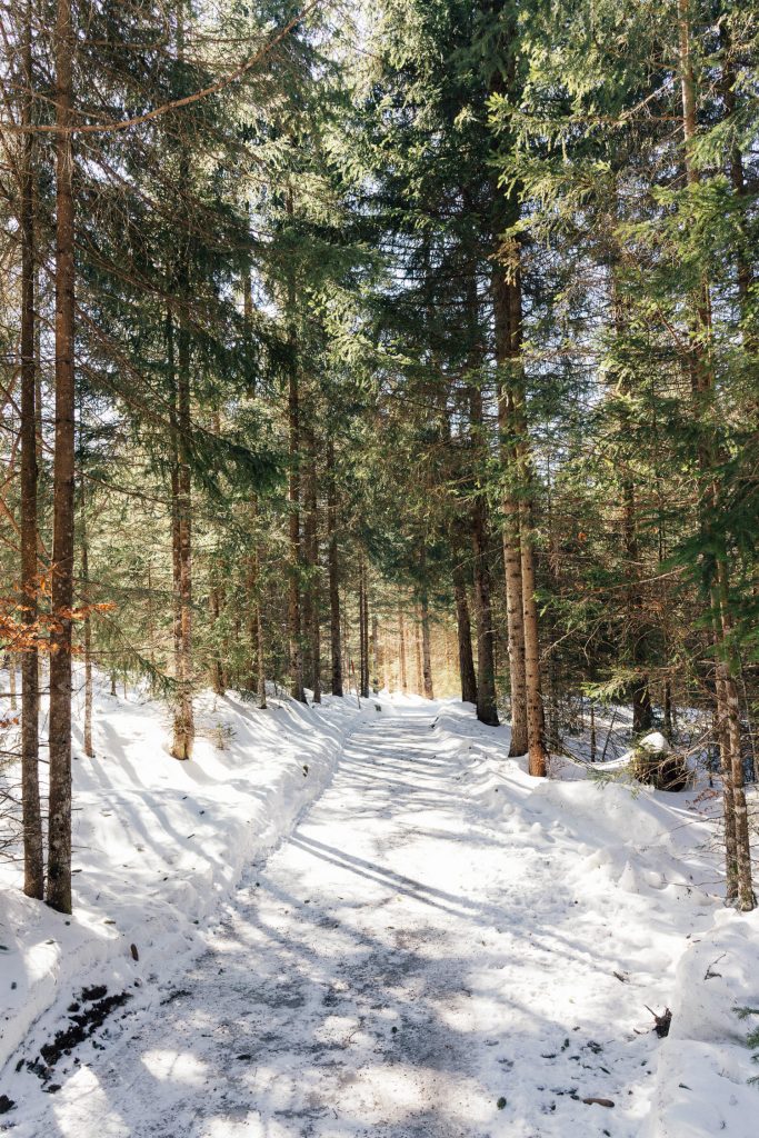 Winterwanderung an der Zugspitze