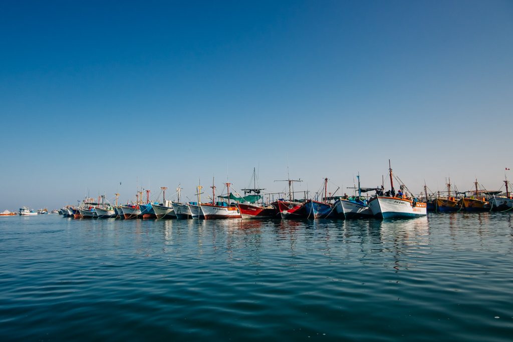 Reisen in Peru nach Paracas