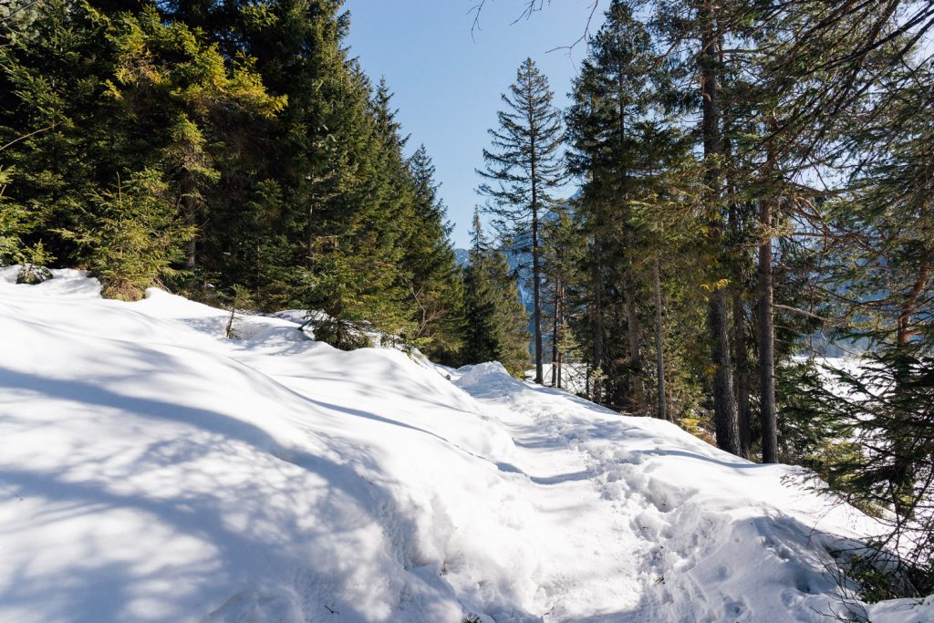 Winterwandern am Heiterwanger See