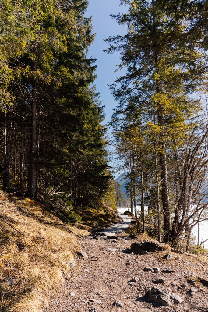 Wandern im Winter in Ehrwald
