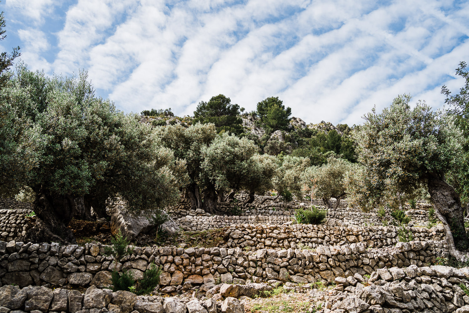 Wandern auf Mallorca