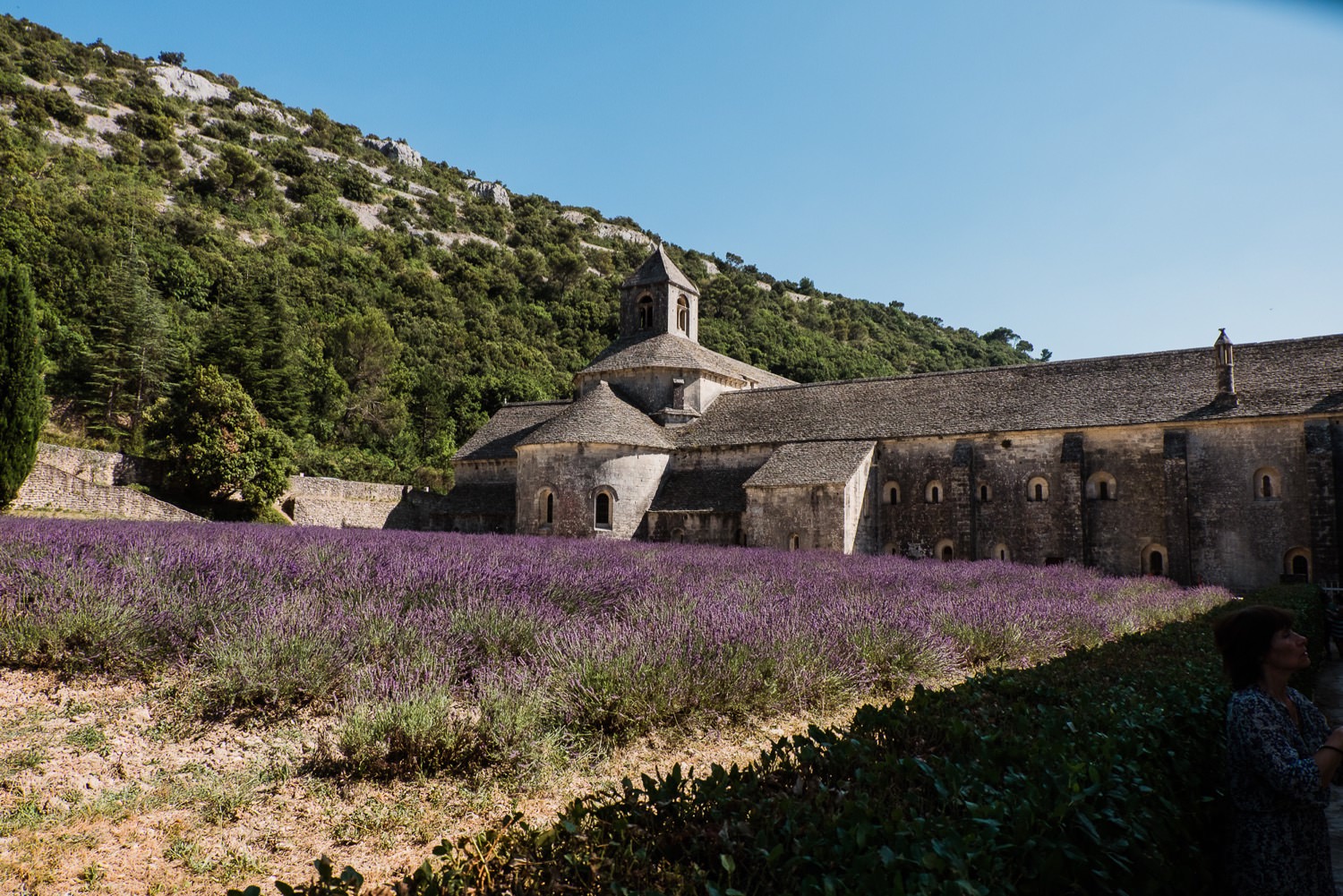 Roadtrip durch die Provence im Juli