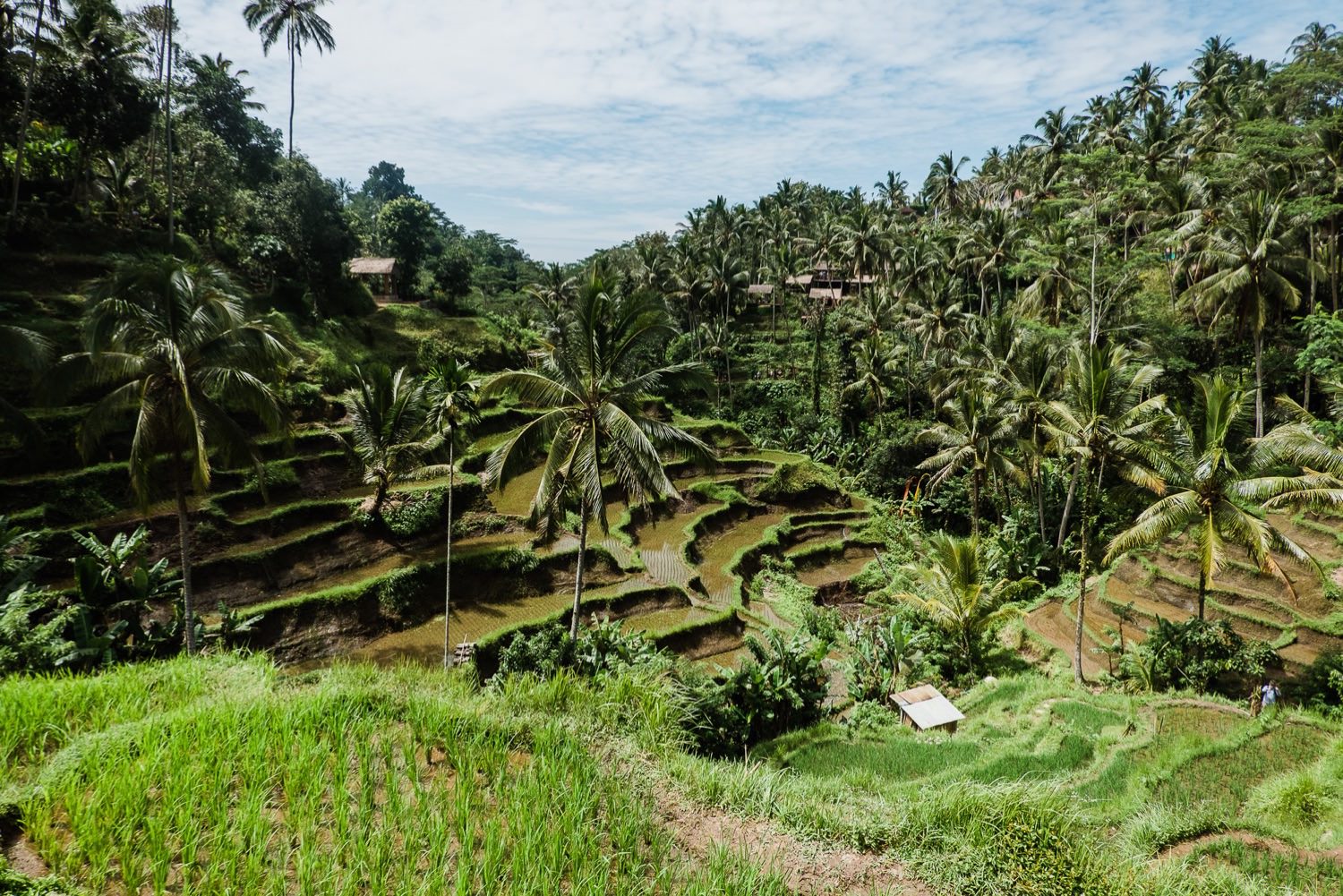 Reiseroute für Bali
