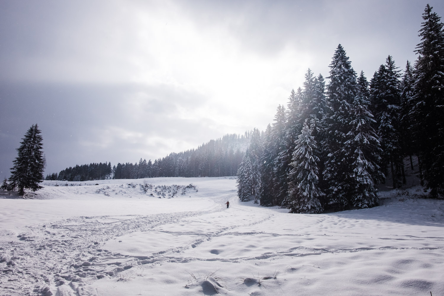 Wanderrouten für die Winterwanderung in Oberammergau