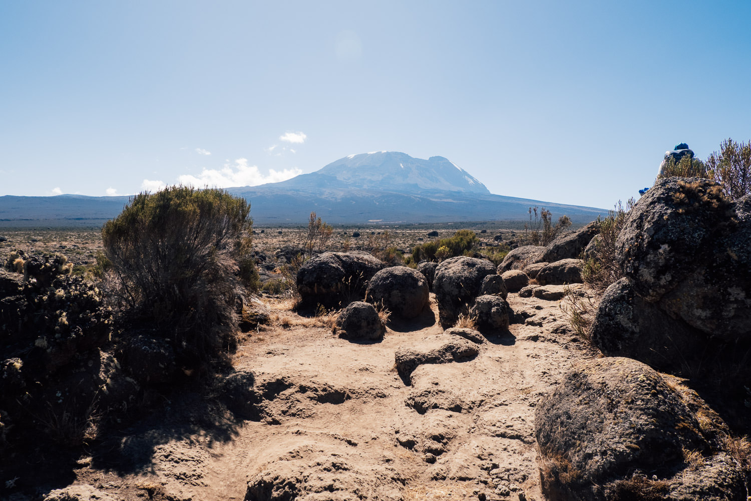 Kilimandscharo besteigen häufige Fragen