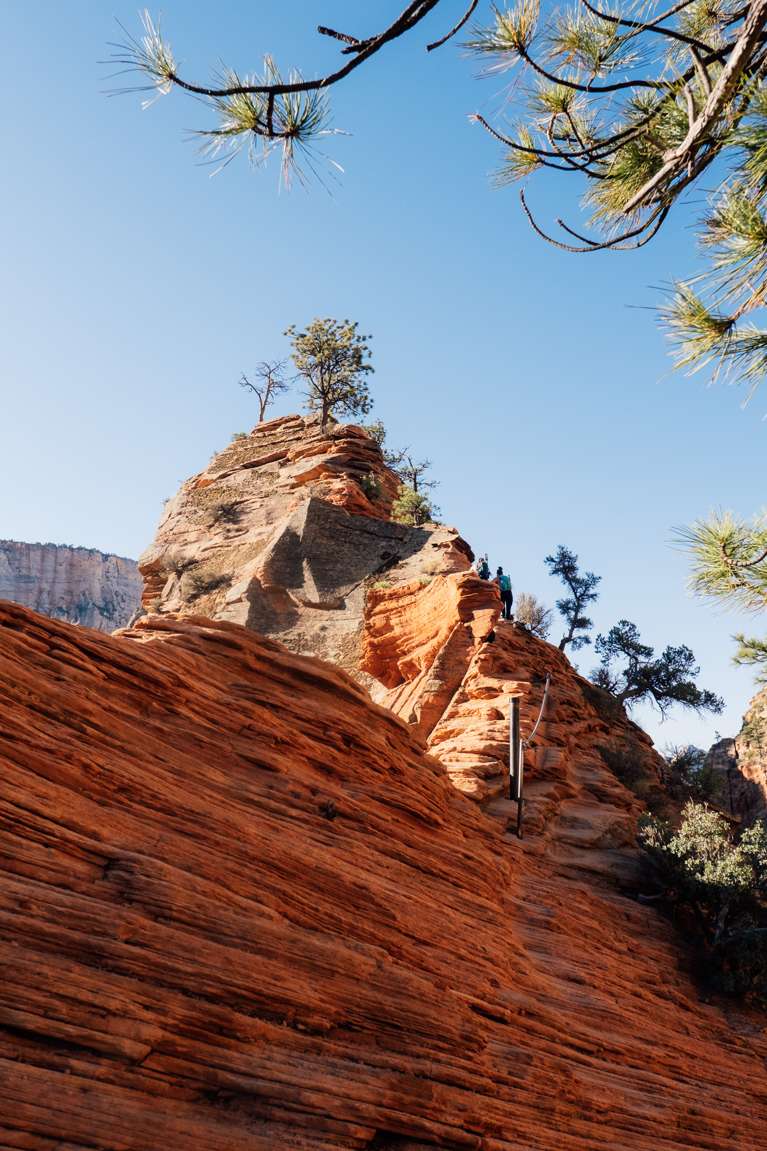 Wandern Angels Landing