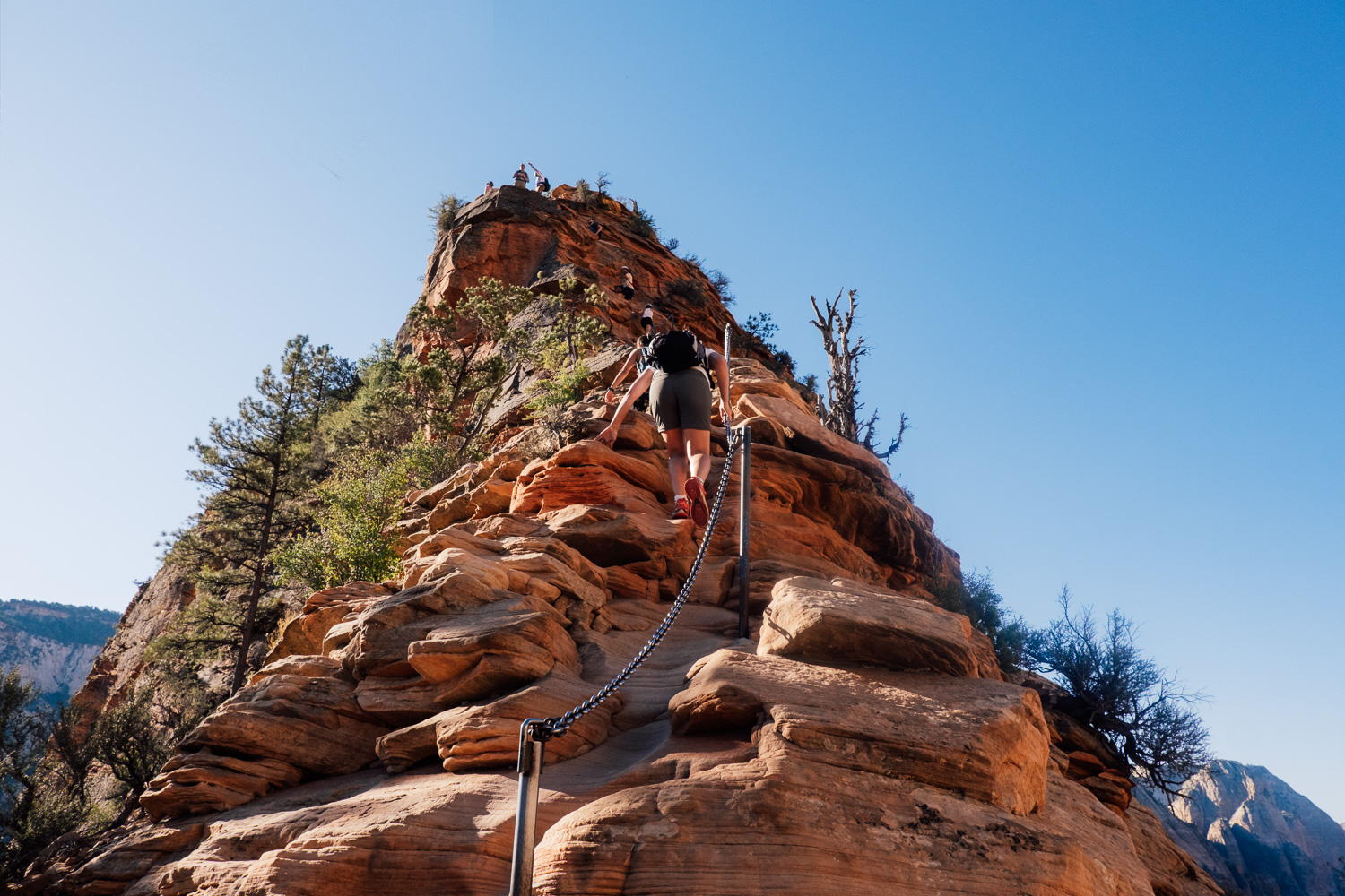 Wandern im Zion