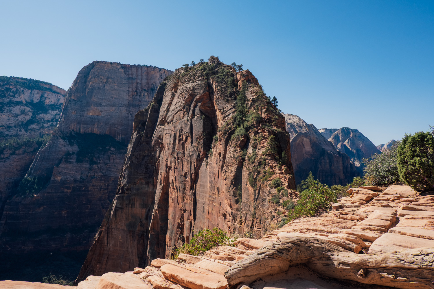 Wanderungen im Zion Nationalpark