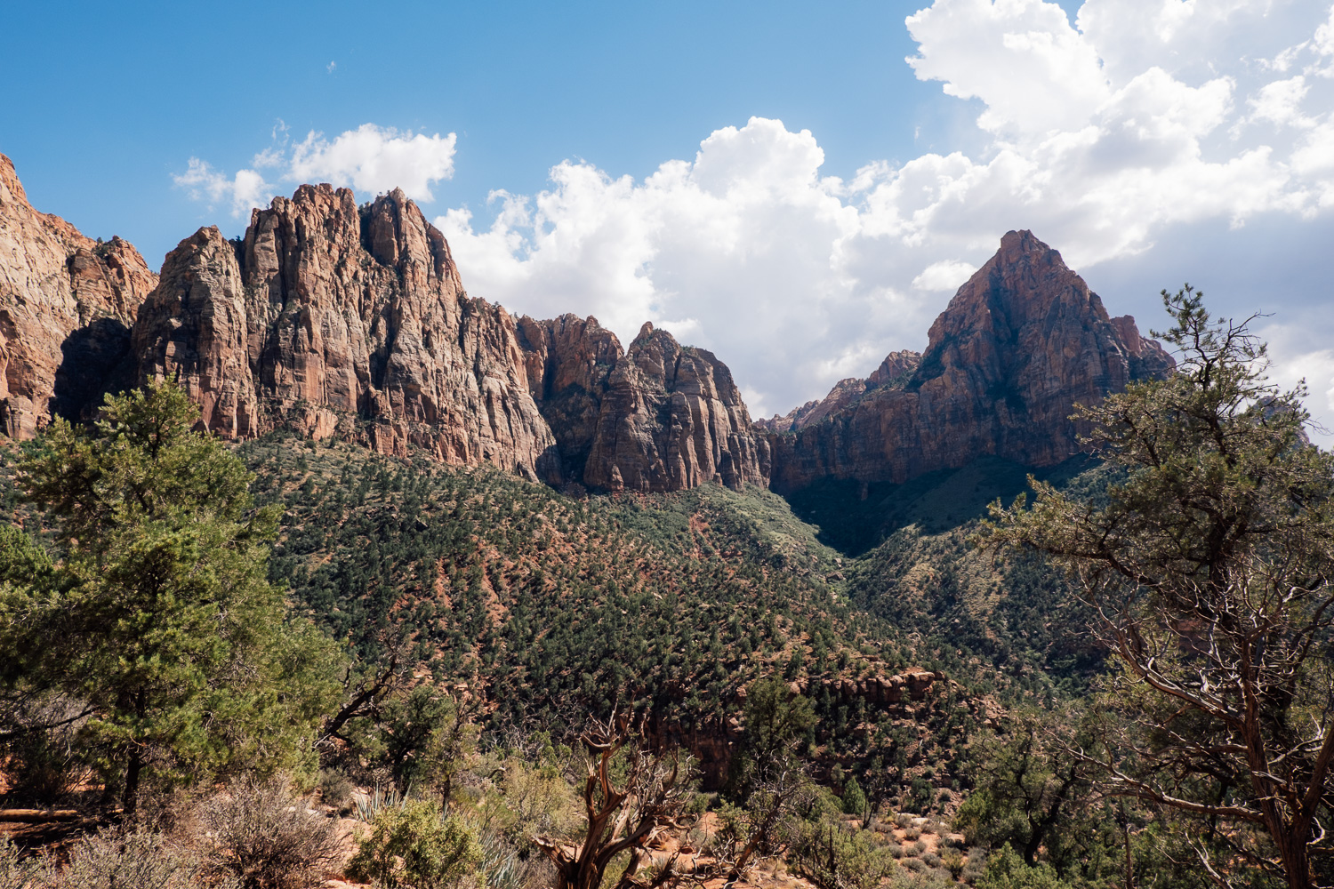 Watchman Trail im Zion Nationalpark