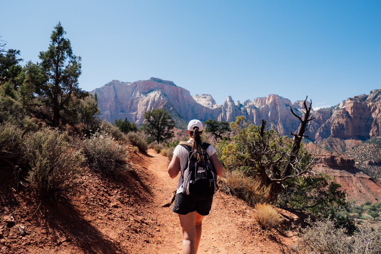 Watchman Trail im Zion Nationalpark